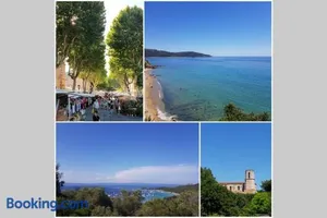 Image of Menthe à l eau