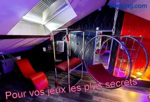 Image of PLAISIR DES SENS