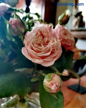 Image of La Maison de Ville