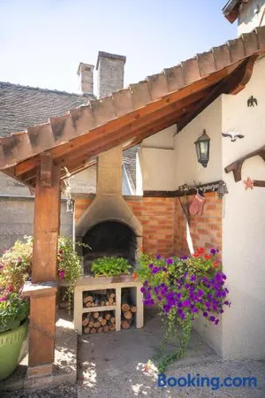 Image of Le Sarcinoé