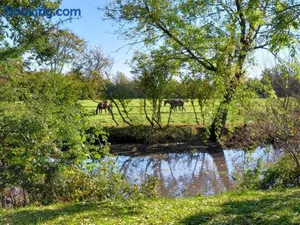 Image of Maison restaurée dans élevage de chevaux, WIFI, Animaux admis - FR-1-497-239