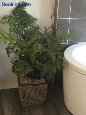 Image of Our Little Hideaway Beechina