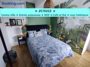 Image of Appartement T2 "JUNGLE" Centre Ville de VITRÉ au calme coté cour