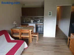 Image of Studio 32m² au pied des pistes de ski à Corrençon - FR-1-515-100