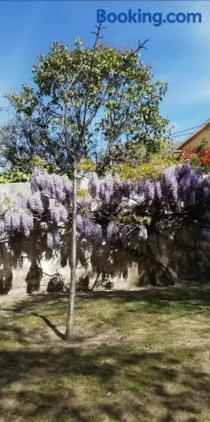 Image of Chez Fleur