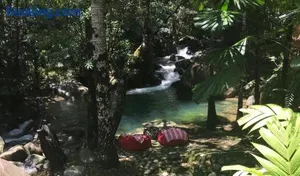 Image of Daintree Secrets Rainforest Sanctuary