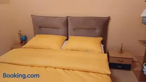 Image of Alex & Nicol