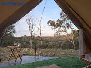 Image of The Stockyard Experience