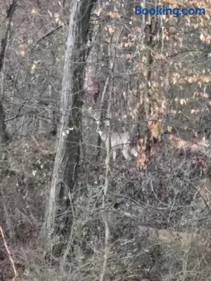 Image of Country living