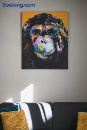 Image of Monkey 2 SALLES DE BAIN hypercentre 6 pers