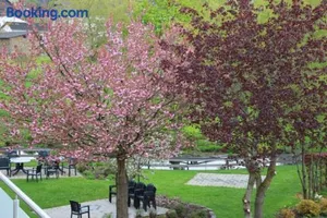 Image of Hotel zum Buchenberg