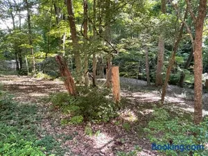Image of Mary's Place - Studio surrounded by nature but close to High Point
