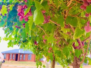 Image of Nevid Family Home