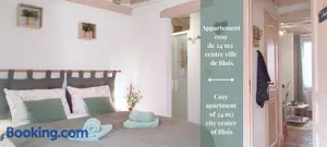 Image of Blois City - Le Petit Saint Jean