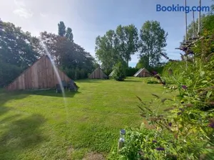 Image of Back to Basic