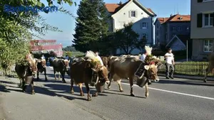 Image of Haus Basilea