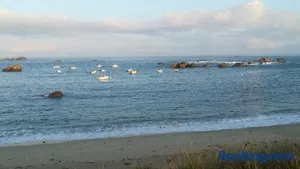 Image of Appartement RDC de maison principale