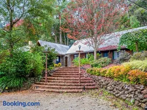 Image of Sunshine Forest Garden