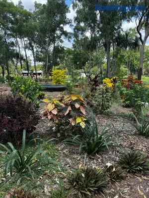 Image of Litchfield Tropical Stay