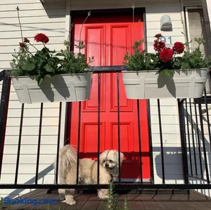 Image of Family and pet friendly home in Brisbane