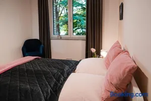 Image of Anubis relaxed&stay