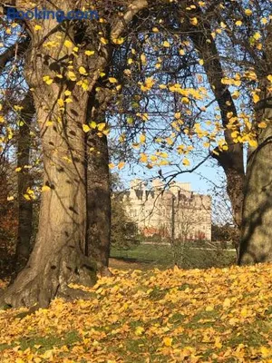 Image of Oak Tree Cottage