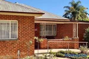 Image of Young Olive