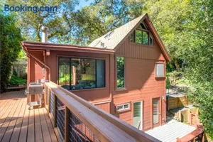 Image of Tree Fort! Redwoods! Hot Tub!! Fire Table!! Google Smart Home!! Fast WiFi!! Dog Friendly!