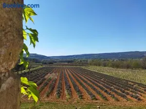 Image of Le Mas Réséda