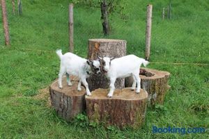 Image of Bauernhof Familie Knoblechner