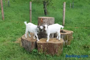 Image of Bauernhof Familie Knoblechner
