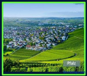 Image of Ferienwohnung Forest & Wein