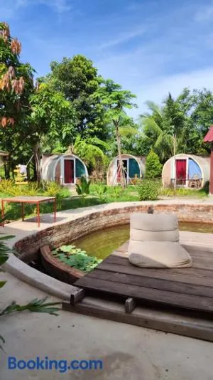 Image of The Bear Bungalow