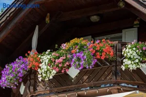 Image of Privatzimmer Haus Gschweitl