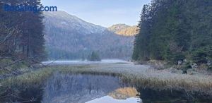 Image of Ledererhof Lunz am See