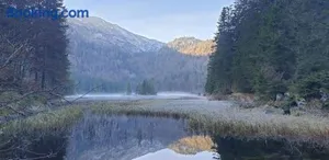 Image of Ledererhof Lunz am See