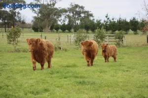 Image of Little Sherwood Drouin Petting Zoo & Cottages