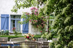 Image of Landhaus einer Malerin