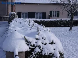 Image of Gîte cozy au cœur des Vosges : terrasse, jardin, proche Gérardmer, animaux bienvenus - FR-1-589-76