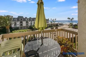 Image of C300 Mid-Century Palm Paradise