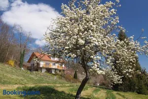 Image of Le Merle Enchanteur