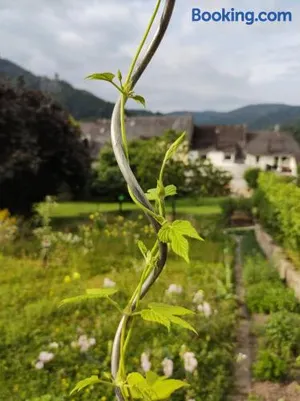 Image of Monkey Factory - Mini Home-Stay Hostel