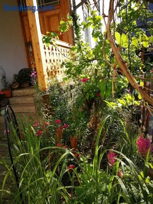 Image of Ferienhaus Landliebe Liebenstein