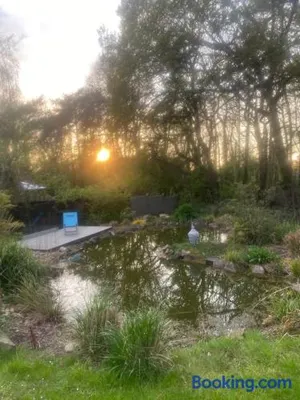 Image of Contemporary House with a Woodland Setting