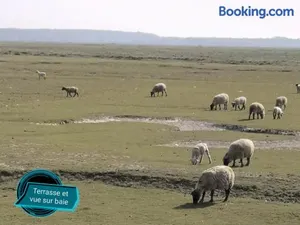 Image of Balise en Baie