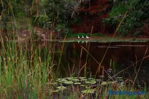 Image of Unique Farm Escape in the Sunshine Coast Hinterland