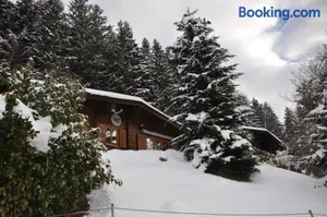 Image of Chalet Edelweiss