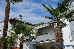 Image of PalmGarden