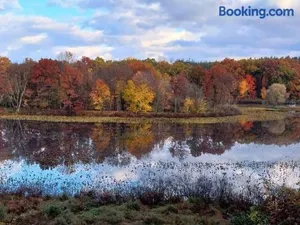 Image of Smitten in da Mitten - 18 acres, Arcades, High Spd Web, Hot Tub, Pond!