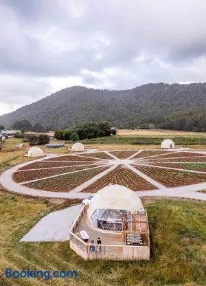 Image of Mount Gnomon Farm